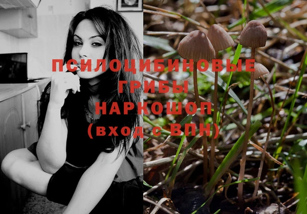 молекула духа Армянск
