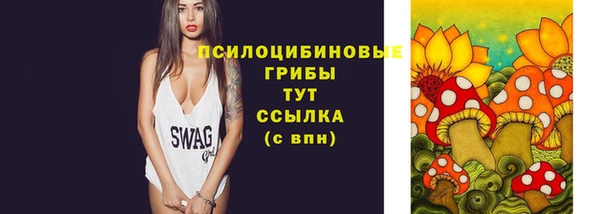 эйфоретик Арсеньев